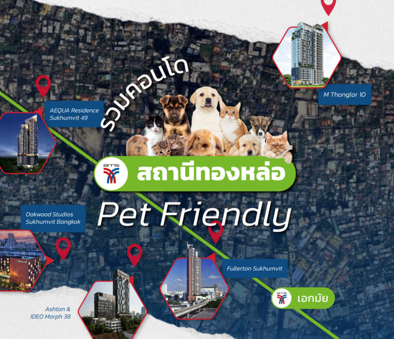 แผนที่รวมคอนโดใกล้ BTS ทองหล่อ Pet Friendly เลี้ยงสัตว์ได้ มีโครงการ M Thonglor 10, AEQUA Sukhumvit 49, Oakwood Studios, Ashton Morph 38 และ Fullerton Sukhumvit