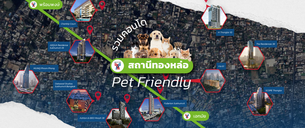 คอนโดใกล้ BTS ทองหล่อ Pet Friendly ตกแต่งสวยงามพร้อมพื้นที่สำหรับสัตว์เลี้ยงใจกลางสุขุมวิท